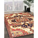 Machine Washable Traditional Fire Brick Red Rug in a Family Room, wshtr278