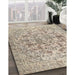 Traditional Dark Almond Brown Persian Rug in Family Room, tr2799