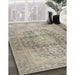 Machine Washable Traditional Khaki Green Rug in a Family Room, wshtr2800