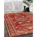 Traditional Copper Red Pink Persian Rug in Family Room, tr2816