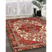 Traditional Red Persian Rug in Family Room, tr2820