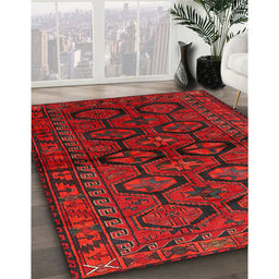 Traditional Red Persian Rug in Family Room, tr2829
