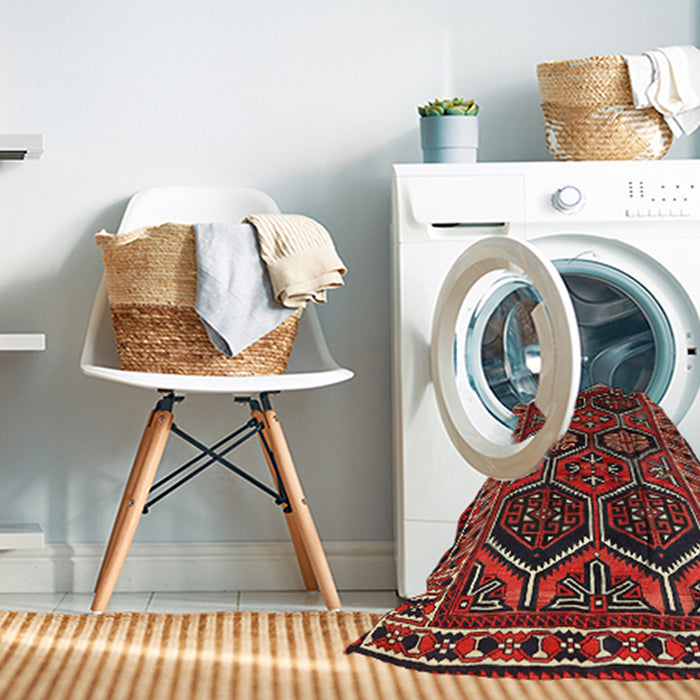 Machine Washable Traditional Brown Rug in a Washing Machine, wshtr2832