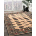 Traditional Reddish Brown Southwestern Rug in Family Room, tr283