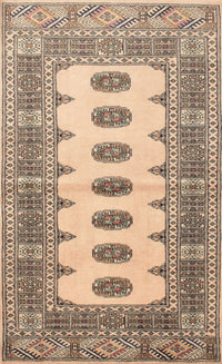 Machine Washable Traditional Brown Rug, wshtr285