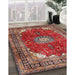 Traditional Orange Salmon Pink Medallion Rug in Family Room, tr2879