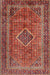 Traditional Orange Brown Medallion Rug, tr2881