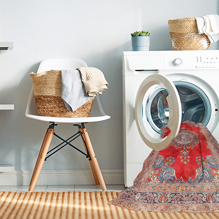 Machine Washable Traditional Light French Beige Brown Rug in a Washing Machine, wshtr2887