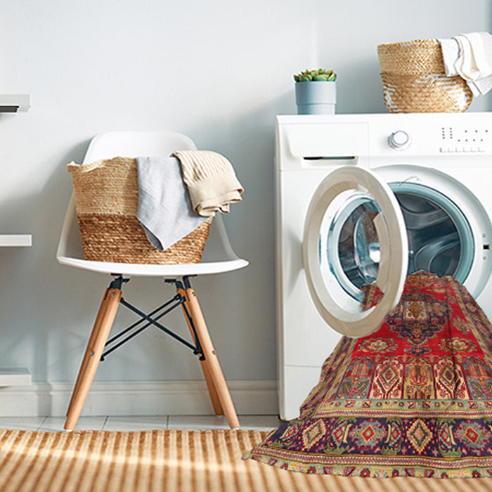 Machine Washable Traditional Peru Brown Rug in a Washing Machine, wshtr2897