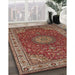 Traditional Orange Salmon Pink Medallion Rug in Family Room, tr28