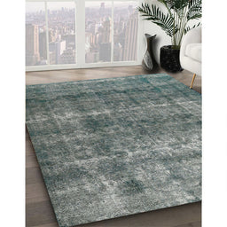Machine Washable Traditional Gray Rug in a Family Room, wshtr2907