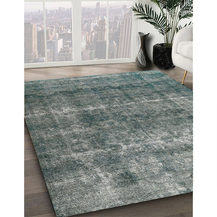 Machine Washable Traditional Gray Rug in a Family Room, wshtr2907