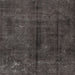 Square Traditional Carbon Gray Persian Rug, tr2913