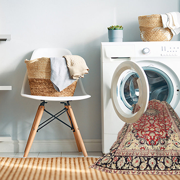 Machine Washable Traditional Brown Rug in a Washing Machine, wshtr2919