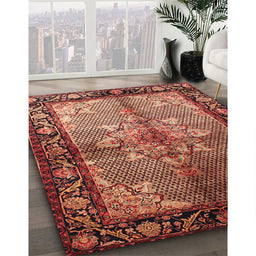 Traditional Saffron Red Persian Rug in Family Room, tr291