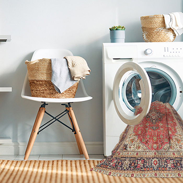 Machine Washable Traditional Brown Rug in a Washing Machine, wshtr2920