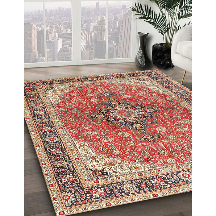 Traditional Brown Medallion Rug in Family Room, tr2920