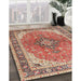 Traditional Brown Medallion Rug in Family Room, tr2920