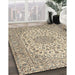 Machine Washable Traditional Brown Rug in a Family Room, wshtr2922