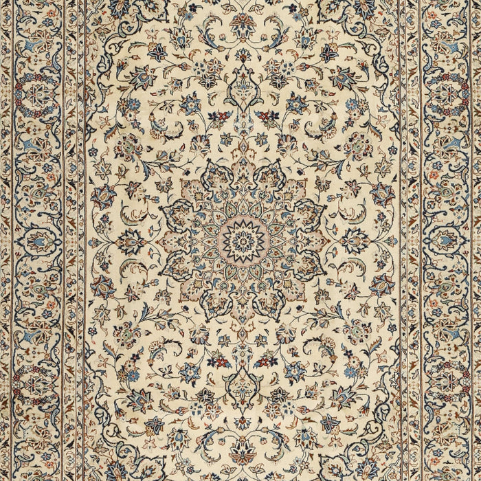 Traditional Brown Persian Rug, tr2922
