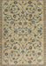 Traditional Brown Persian Rug, tr2923