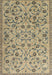 Machine Washable Traditional Brown Rug, wshtr2923