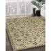 Machine Washable Traditional Brown Rug in a Family Room, wshtr2923