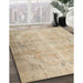 Traditional Brown Persian Rug in Family Room, tr2933
