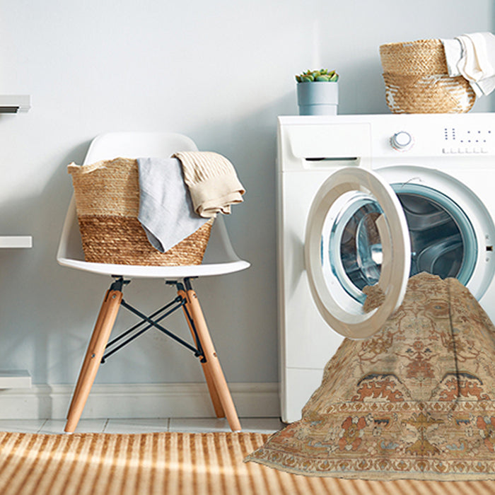 Machine Washable Traditional Chocolate Brown Rug in a Washing Machine, wshtr2946