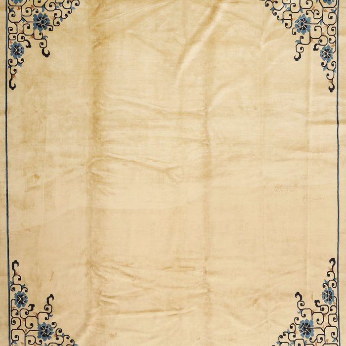 Traditional Brown Gold Persian Rug, tr2949