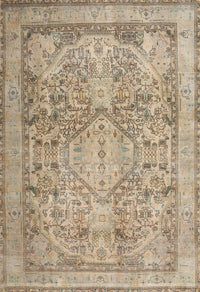 Machine Washable Traditional Dark Almond Brown Rug, wshtr2950