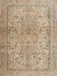 Machine Washable Traditional Brown Rug, wshtr2952