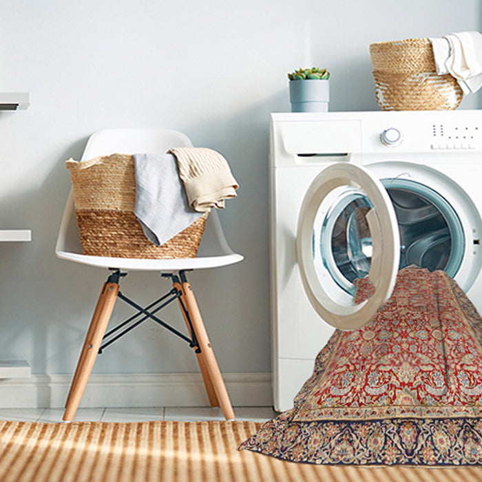 Machine Washable Traditional Brown Rug in a Washing Machine, wshtr2954