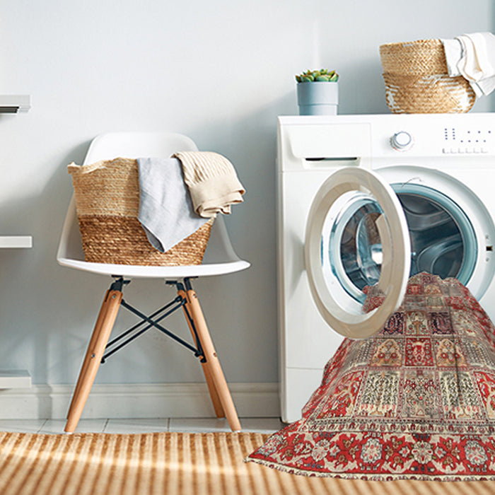 Machine Washable Traditional Brown Rug in a Washing Machine, wshtr2968