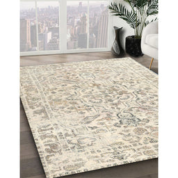 Machine Washable Traditional Tan Brown Rug in a Family Room, wshtr2978
