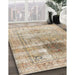Traditional Dark Almond Brown Persian Rug in Family Room, tr2982