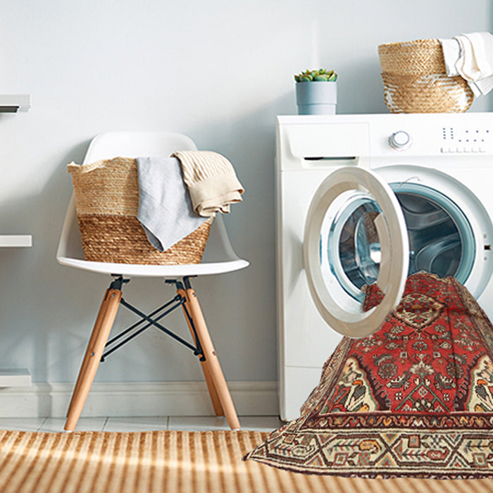 Machine Washable Traditional Sand Brown Rug in a Washing Machine, wshtr2990