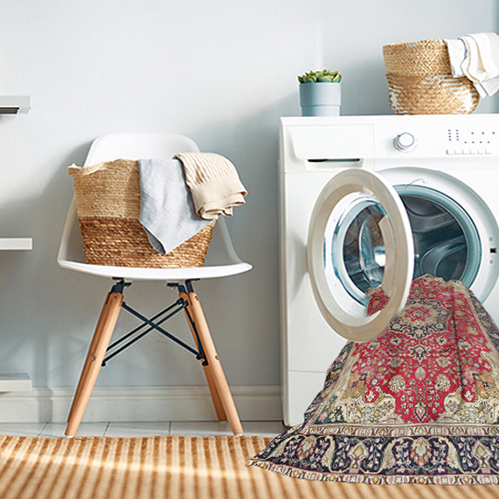 Machine Washable Traditional Brown Rug in a Washing Machine, wshtr2991