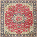 Square Traditional Brown Persian Rug, tr2991