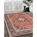 Traditional Brown Red Persian Rug in Family Room, tr2992