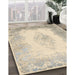 Machine Washable Traditional Light French Beige Brown Rug in a Family Room, wshtr3005