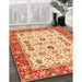 Traditional Red Oriental Rug in Family Room, tr3007