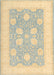 Traditional Brown Gold Oriental Rug, tr3009