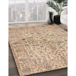 Traditional Brown Persian Rug in Family Room, tr3014