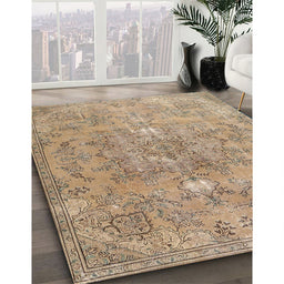 Traditional Brown Persian Rug in Family Room, tr3038