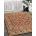 Traditional Brown Red Southwestern Rug in Family Room, tr3043