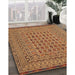 Traditional Orange Southwestern Rug in Family Room, tr3044