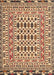 Traditional Dark Sienna Brown Southwestern Rug, tr3047