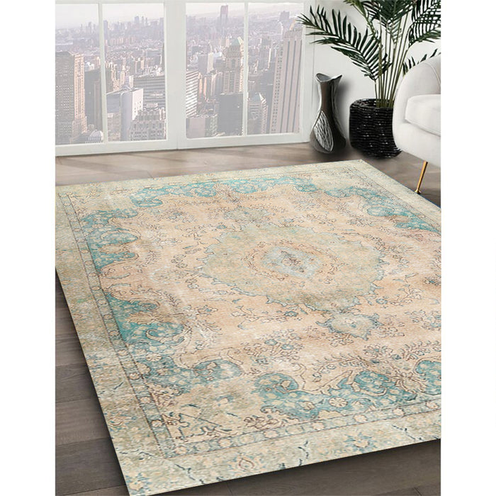 Traditional Desert Sand Beige Persian Rug in Family Room, tr3048