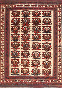 Machine Washable Traditional Tomato Red Rug, wshtr3049